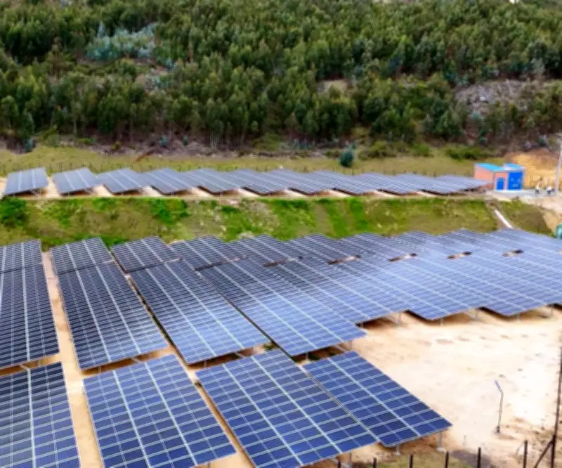 Colgas y Ladrillera Santafé inauguran gran parque solar en Soacha para impulsar sostenibilidad