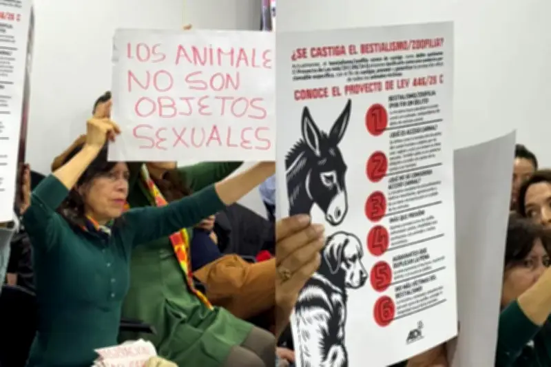 Colombia cerca de penalizar la zoofilia: penas de cárcel y multas en debate final