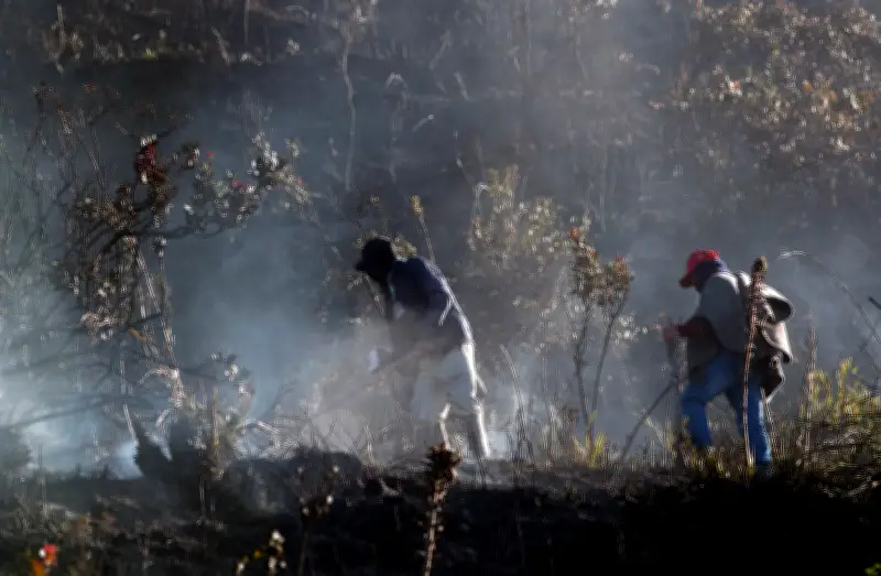 Colombia lanza programa nacional para combatir incendios forestales con brigadas especializadas