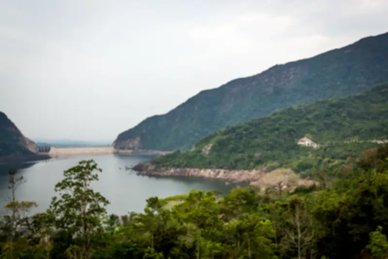 Colombia protege su riqueza floral con programas de conservación y alianzas estratégicas