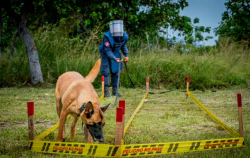 Colombia revive el terror de las minas antipersonal: aumento del 11% en incidentes desde 2021