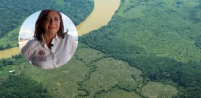 Combustibles fósiles amenazan la Amazonia, alerta directora del Sinchi
