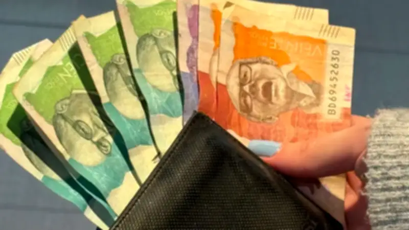 Comité Fiscal advierte que próximo gobierno debe realizar ajuste histórico para evitar quiebra del país