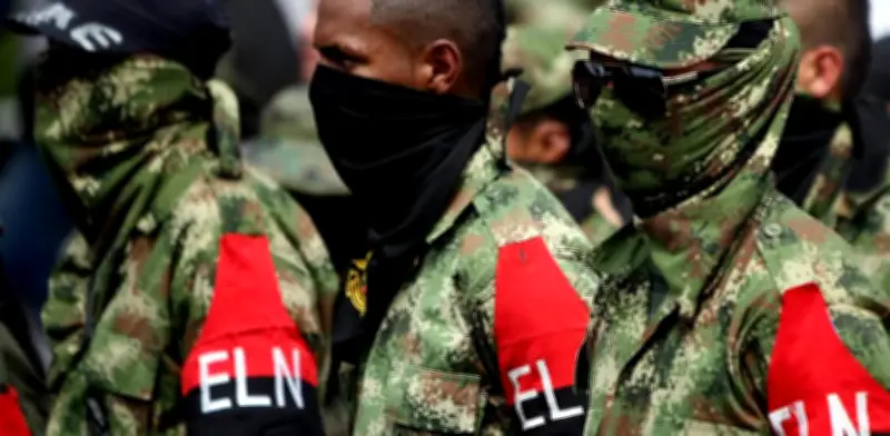 Conflicto armado en Colombia: 44 especies al borde de la extinción por violencia