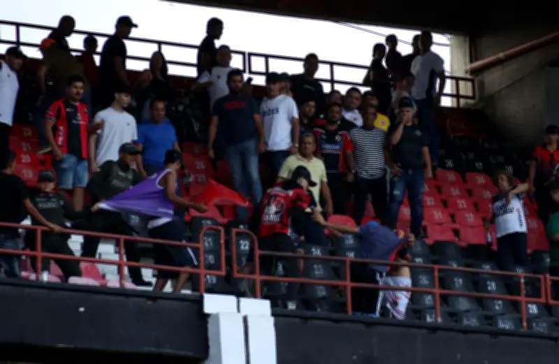 Consejo de Estado define: Policía es irremplazable en seguridad de estadios de fútbol