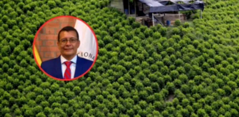 Coronel retirado analiza fracaso de erradicación forzada de cultivos ilícitos en Colombia