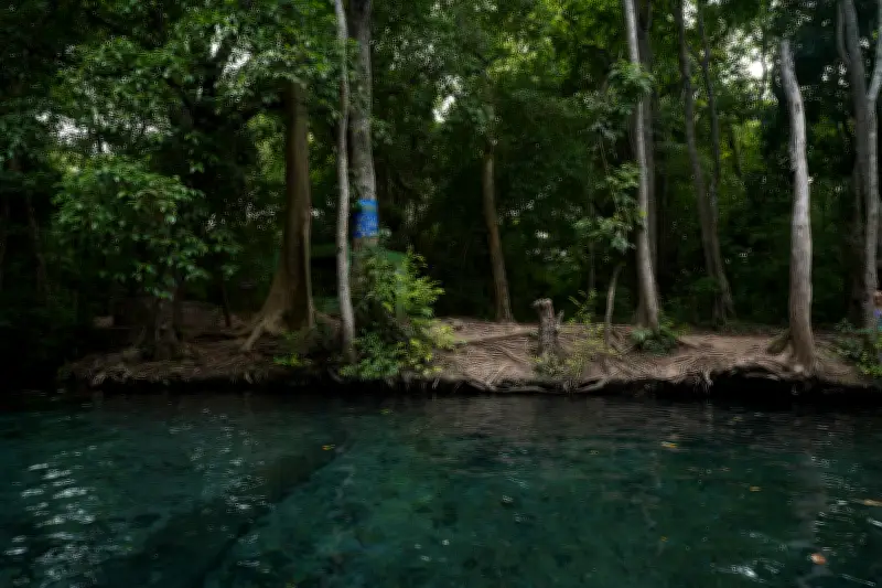 Corpoguajira ratifica negación de licencia a mina de carbón en La Guajira