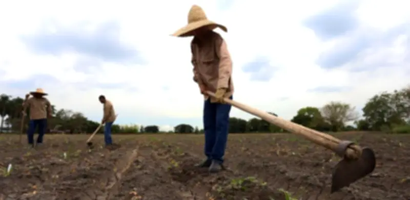 Corte Constitucional ordena a la Judicatura implementar justicia agraria para 2027