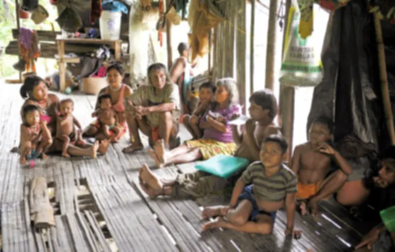 Corte Constitucional ordena recuperar territorio ancestral del pueblo Sikuani en el Meta