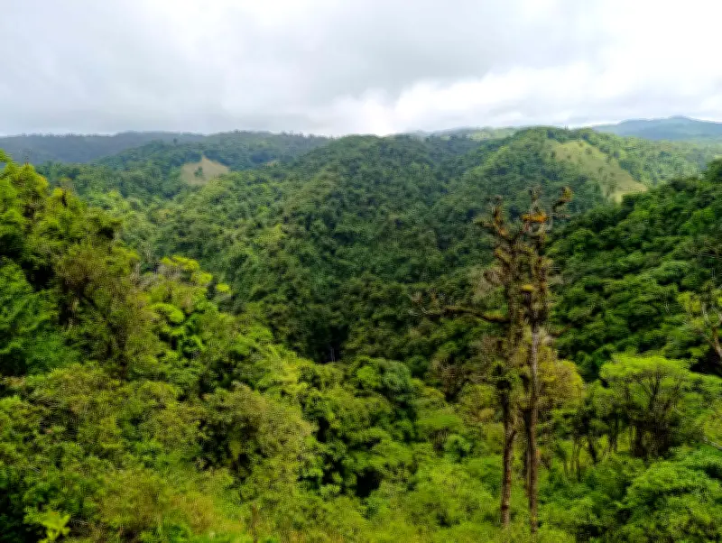 Costa Rica se ubica entre los cinco países más felices del mundo según la ONU