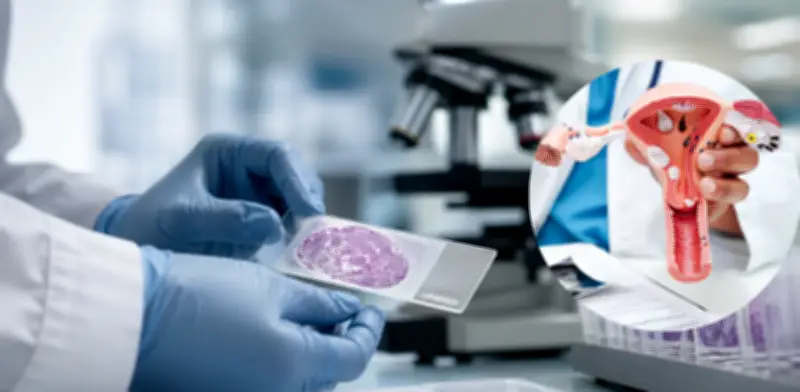 Crean primer atlas del envejecimiento del sistema reproductor femenino en la menopausia