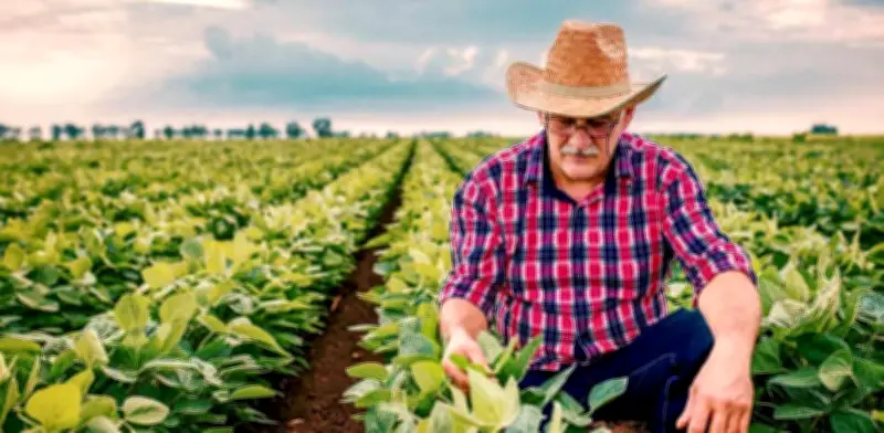 Cuba rompe el monopolio estatal: sector privado podrá comercializar productos agrícolas