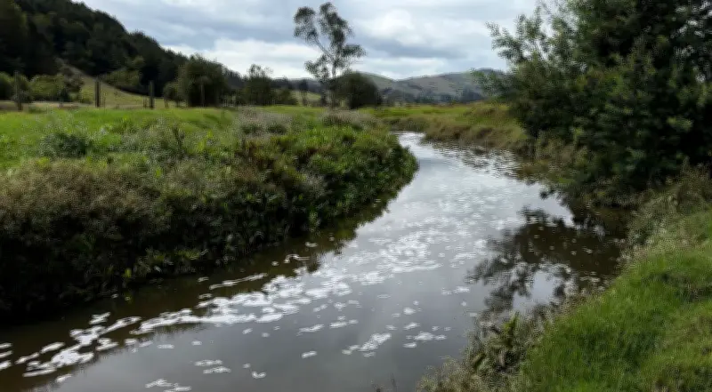 Curtiembres en Villa Pinzón: Ciencia y acuerdos para salvar el nacimiento del río Bogotá