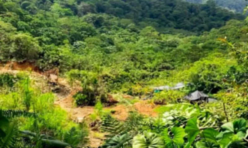 CVC alerta sobre minería ilegal en Buenaventura que afecta río Dagua y fuentes de agua