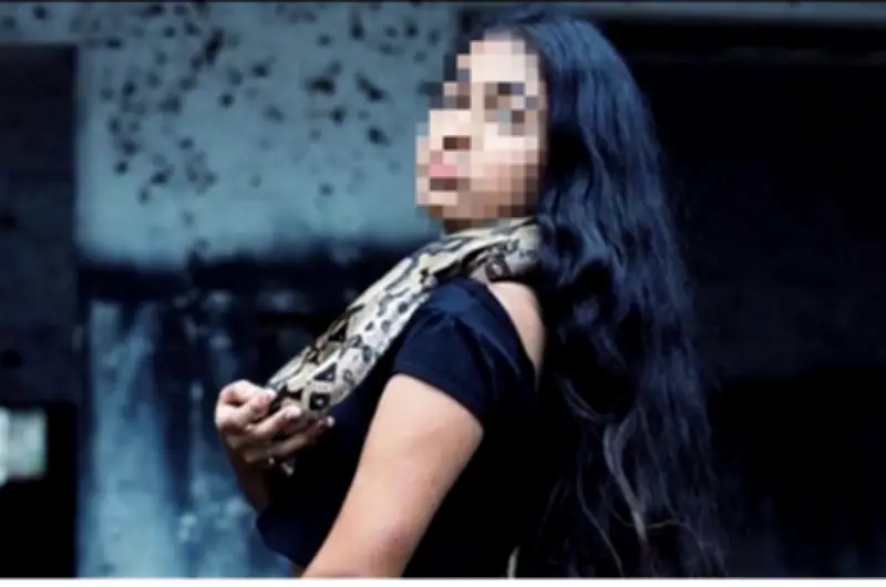 CVC decomisa boa constrictor exhibida como trofeo en redes sociales por adolescente en Buga