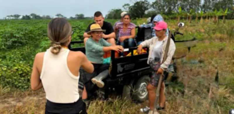 De la guerra a la siembra: campesinos de Fuentedeoro, Meta, preparan su primera cosecha histórica