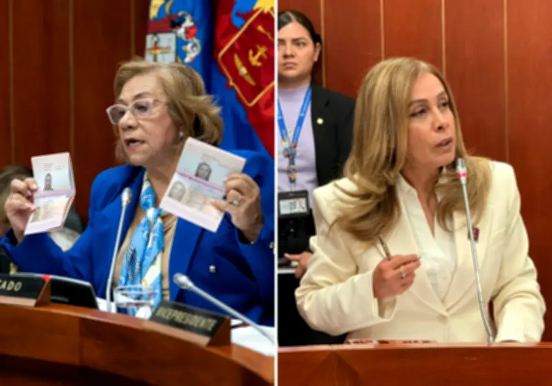 Debate sobre pasaportes deja dudas sobre rol de Francia en nuevo modelo