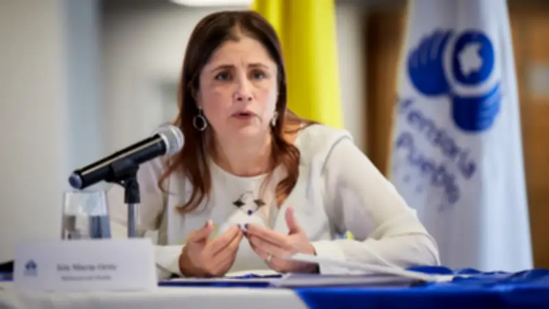 Defensora del Pueblo alerta sobre violencia en Catatumbo tras ataque con drones