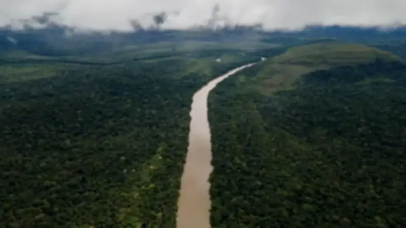 Deforestación en Colombia aumentó 6% en 2025, según reporte del Ideam