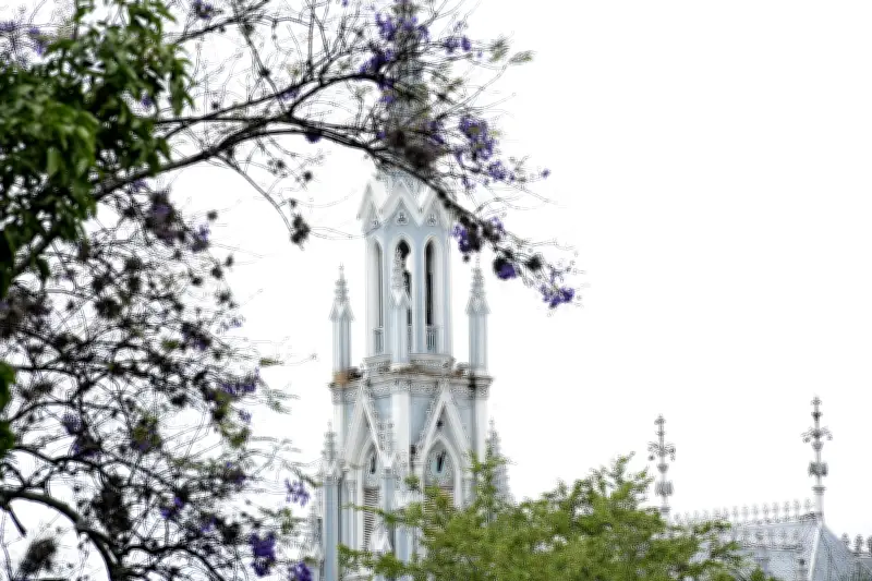 Descubra los 6 ecoparques gratuitos de Cali: horarios y planes para conectar con la naturaleza