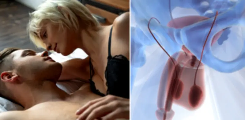 Descubren el 'delta del frenillo': la zona de mayor sensibilidad en el pene masculino