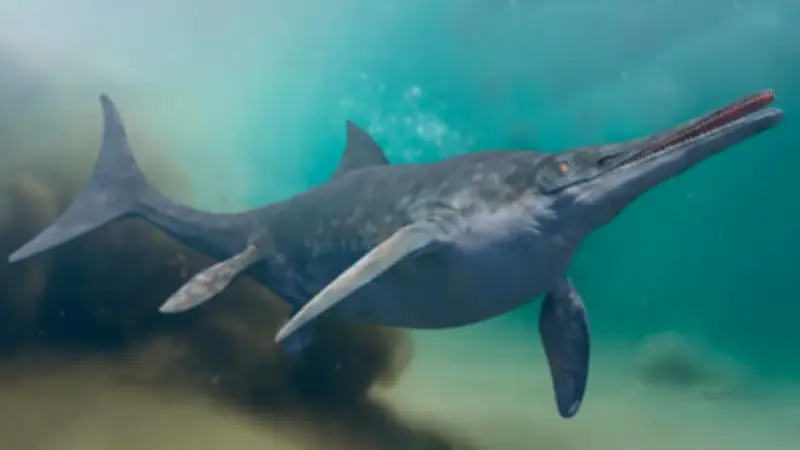 Descubren piel fosilizada de reptil marino de 120 millones de años en Boyacá