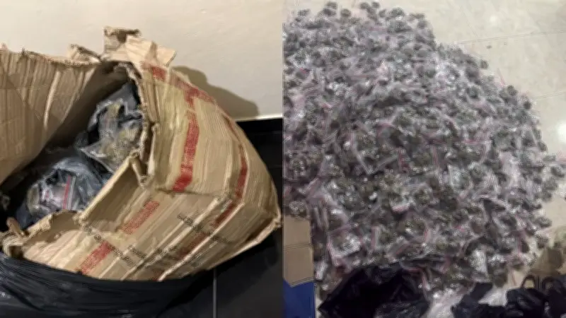 Desmantelan encomienda con más de 9.000 dosis de droga del Clan del Golfo en hotel de Segovia