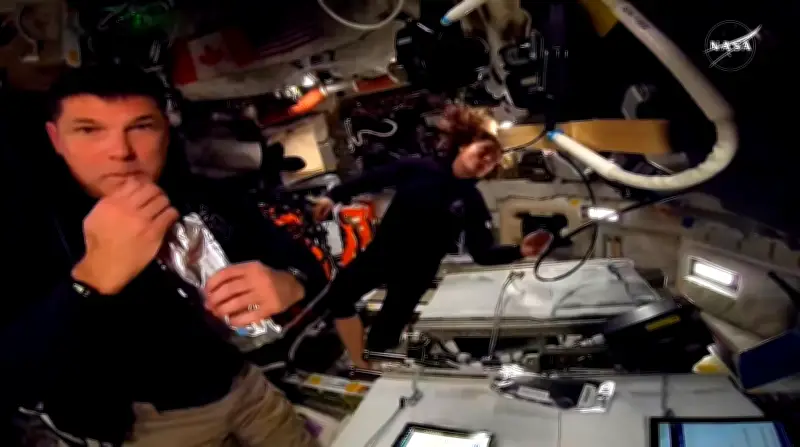 Dieta extrema y reparaciones en el espacio: la vida cotidiana de los astronautas de Artemis II