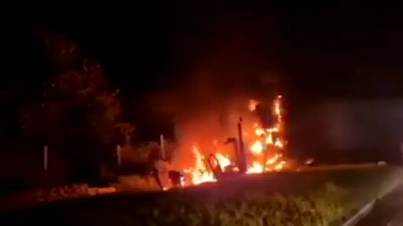 Disidencias queman camión en Huila por muerte de alias 'José El Negro'