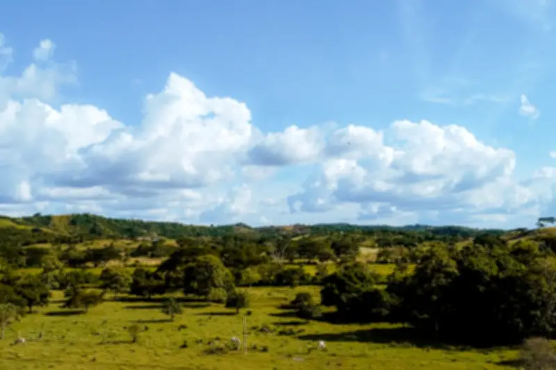 Dos adultos mayores rescatados tras extraviarse en zona rural de Montes de María