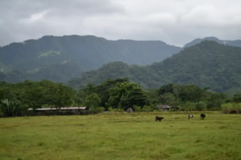 Dos niños mueren asfixiados dentro de una nevera en Vista Hermosa, Meta