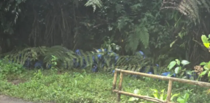 Ejército recupera 113 cilindros de gas en Tuluá que disidencias planeaban usar para atentados terroristas