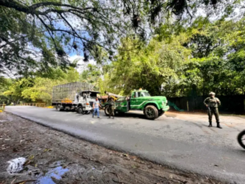 Ejército restablece paso en Río Claro, Jamundí, tras incendio de camión de aves