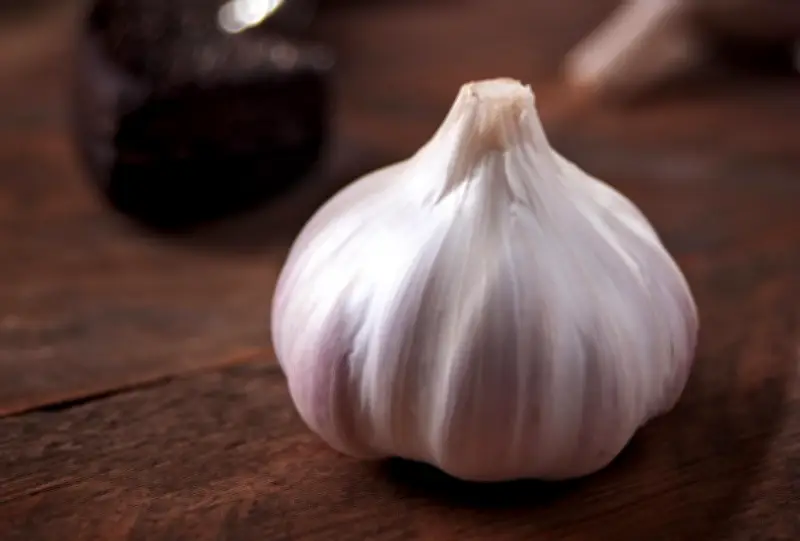 El ajo: mucho más que un ingrediente, es tradición y sabor en la cocina colombiana