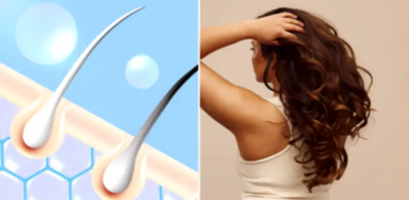 El cabello: un 'archivo biológico' que revela el estado de salud del organismo