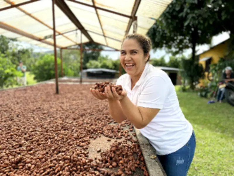 El cacao santandereano: de tradición familiar a protagonista de alta cocina y cervezas artesanales