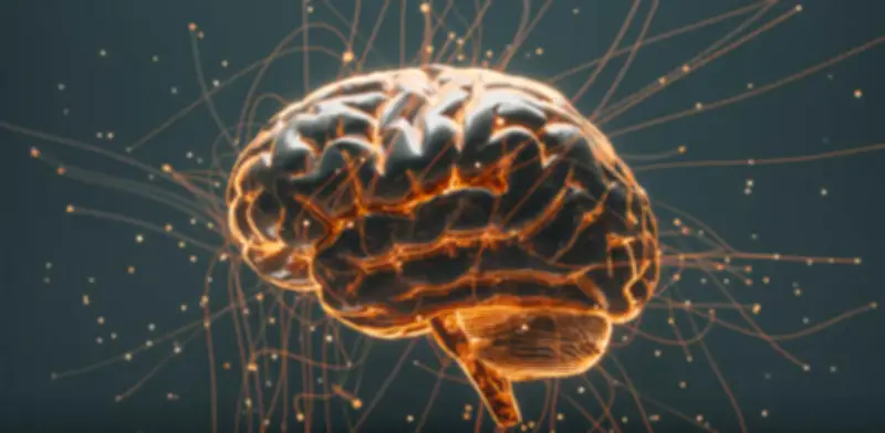 El entorno determina la velocidad del envejecimiento cerebral según estudio internacional