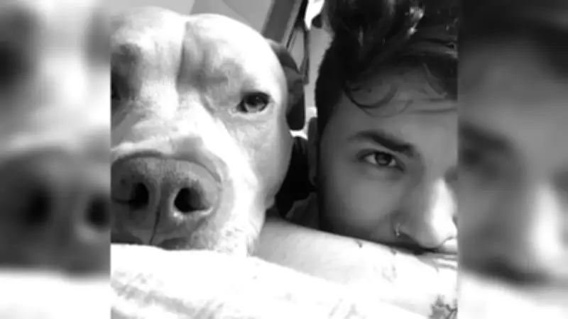 El influencer Camilo Triana llora la muerte de su perro Magnus, símbolo de lucha contra el cáncer