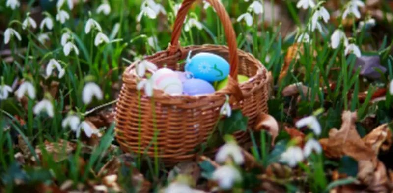 El misterioso origen del conejo y los huevos de Pascua: una tradición que crece en Colombia