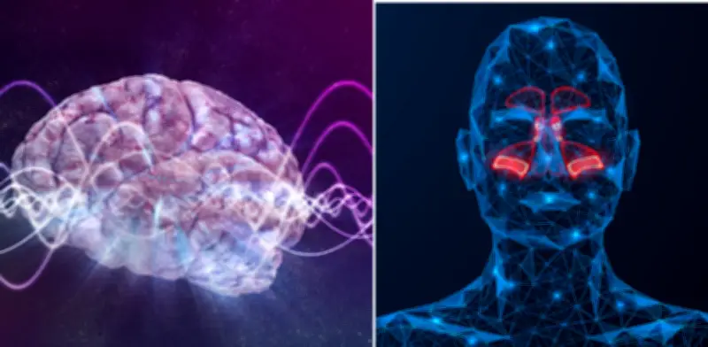 El olfato: el único sentido que se regenera y protege el cerebro con el tiempo