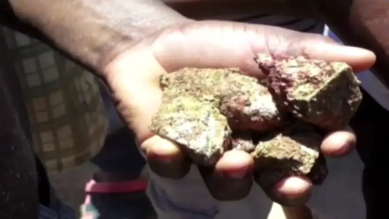 ELN ejerce control territorial clave en Amazonia colombiana por minería ilegal