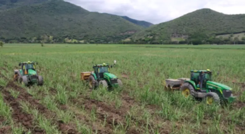 Empresa vallecaucana obtiene certificación internacional de plata en sostenibilidad agrícola
