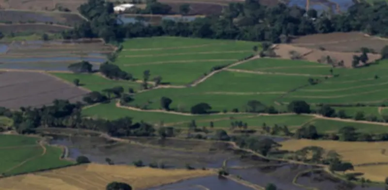 Empresarios alertan cierres y suspensión de operaciones por inseguridad en Catatumbo