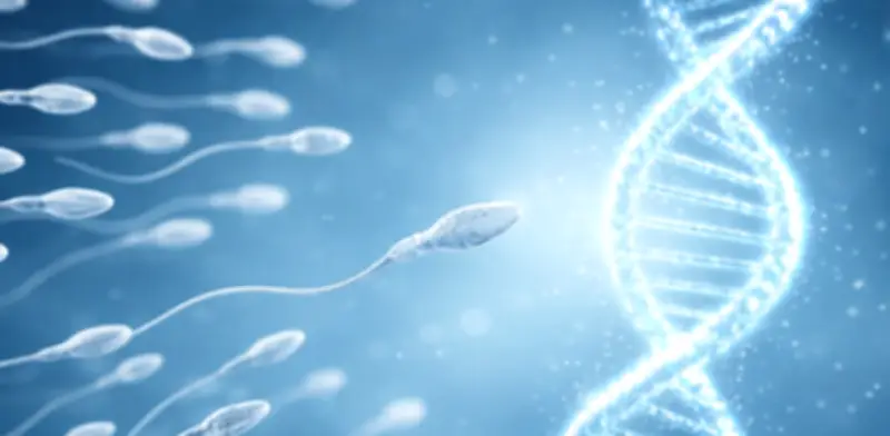 Estudio de Oxford: Eyaculación frecuente mejora calidad del esperma y reduce daño genético