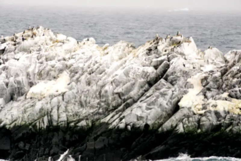 Expedición científica descubre isla inédita en la Antártida durante investigación oceánica