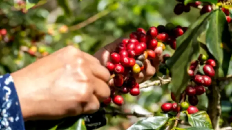 Exportaciones no mineras de Colombia crecen 9,5% en primer bimestre de 2026