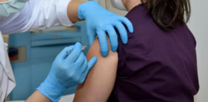 Fiebre amarilla en Colombia: 81 fallecidos desde inicio del brote en 2024