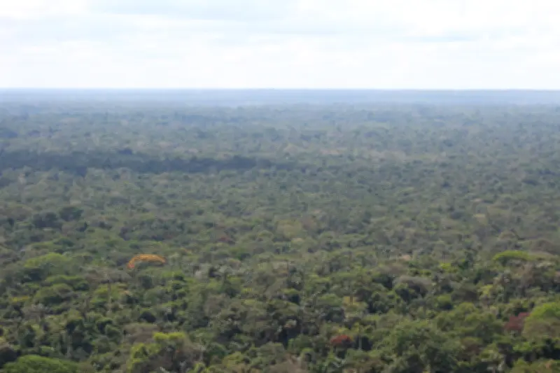 FILBo 2025: 'Escucha la Amazonía' lleva la voz de la selva a la feria del libro