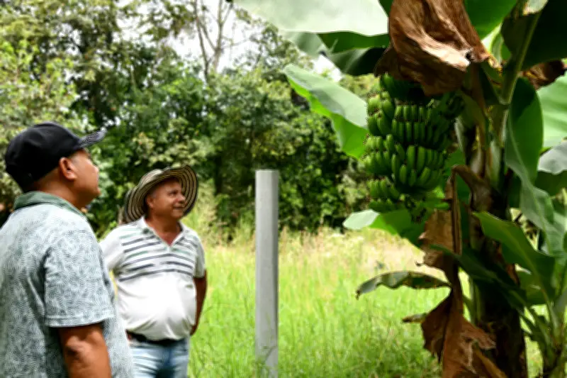 Finca agroecológica El Astro: ejemplo de reincorporación y paz en el Valle del Cauca