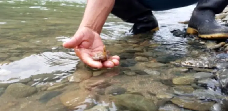 Fiscalía llevará a juicio a directivos de EPM y contratistas por daño ambiental en Hidroituango